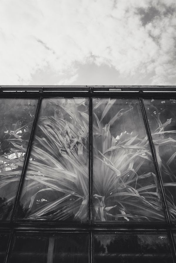 © Franziska Peters - Feeling limited and trapped.