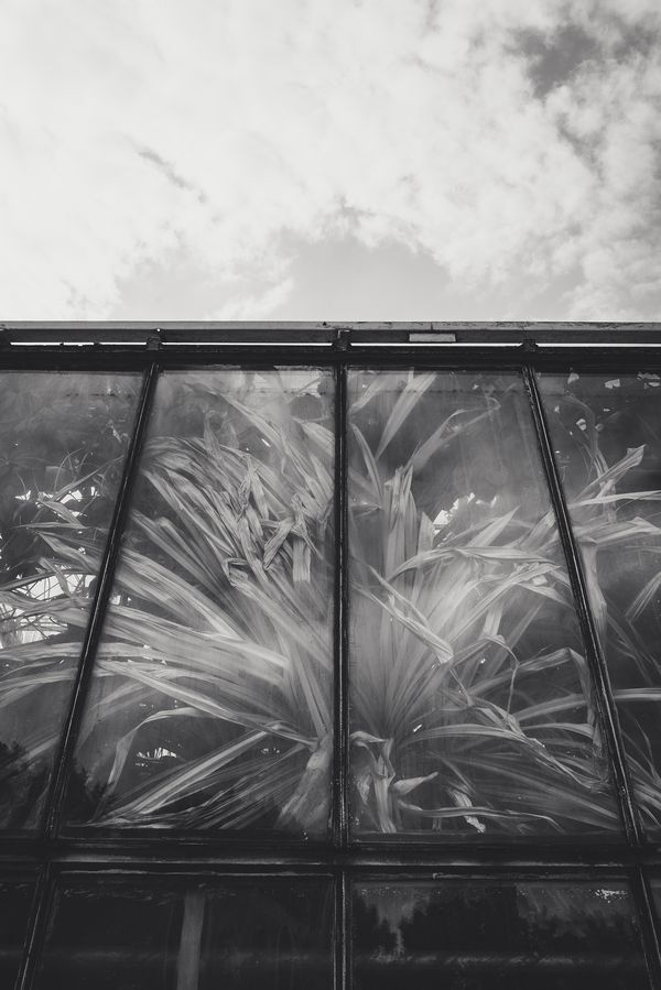© Franziska Peters - Feeling limited and trapped.