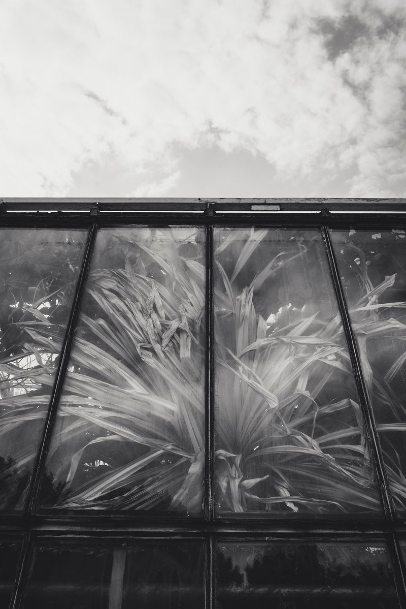 © Franziska Peters - Feeling limited and trapped.