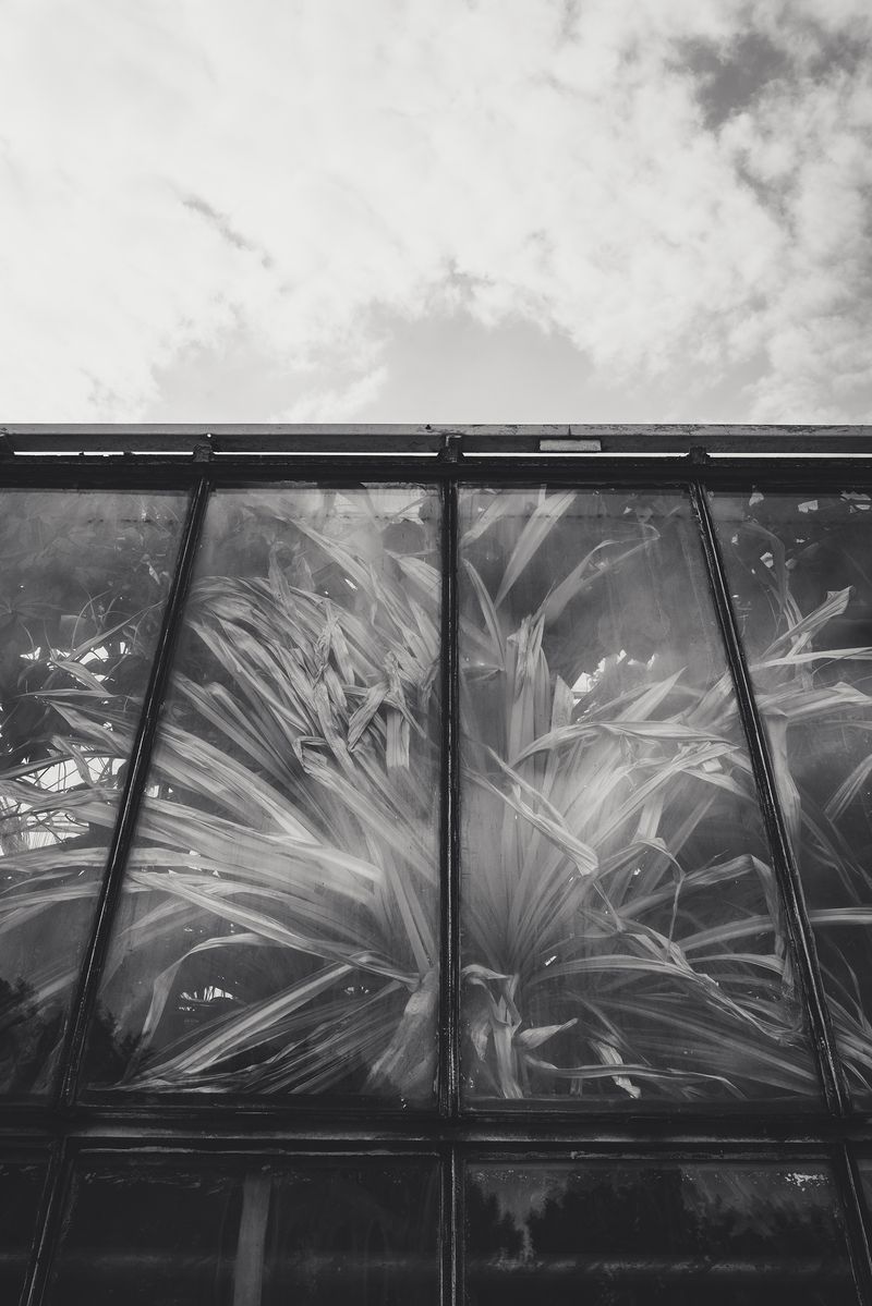 © Franziska Peters - Feeling limited and trapped.
