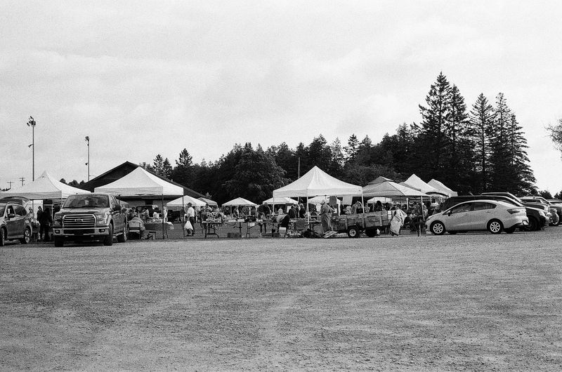 © Tabitha Camp - Image from the the lake effect photography project