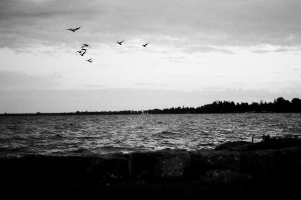 © Tabitha Camp - Image from the the lake effect photography project