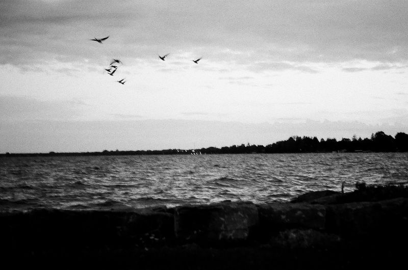 © Tabitha Camp - Image from the the lake effect photography project