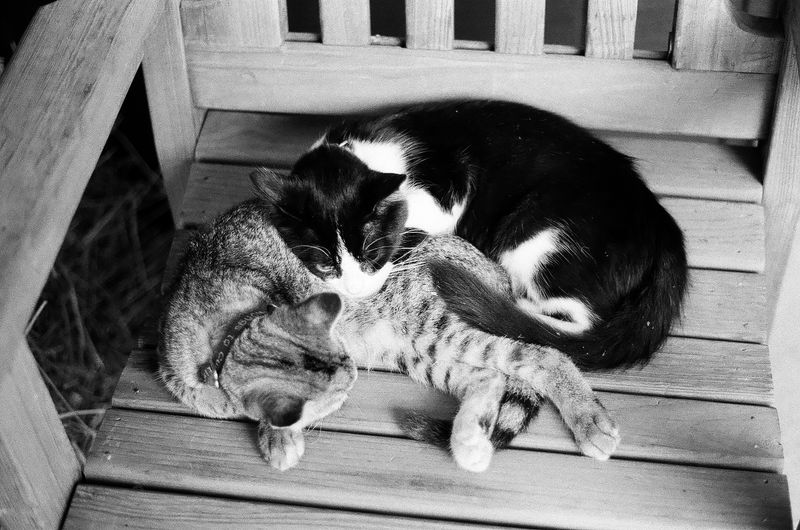 © Tabitha Camp - Image from the the lake effect photography project