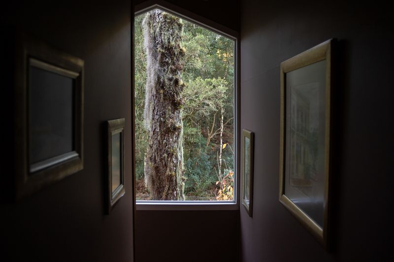 © Nicolas Tapia - Image from the Familiar photography project