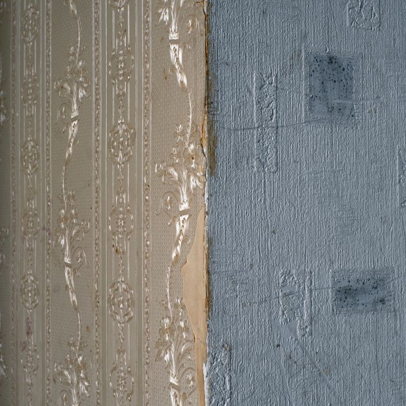 © Maria Quigley - A corner of the wall where two wallpapers meet.