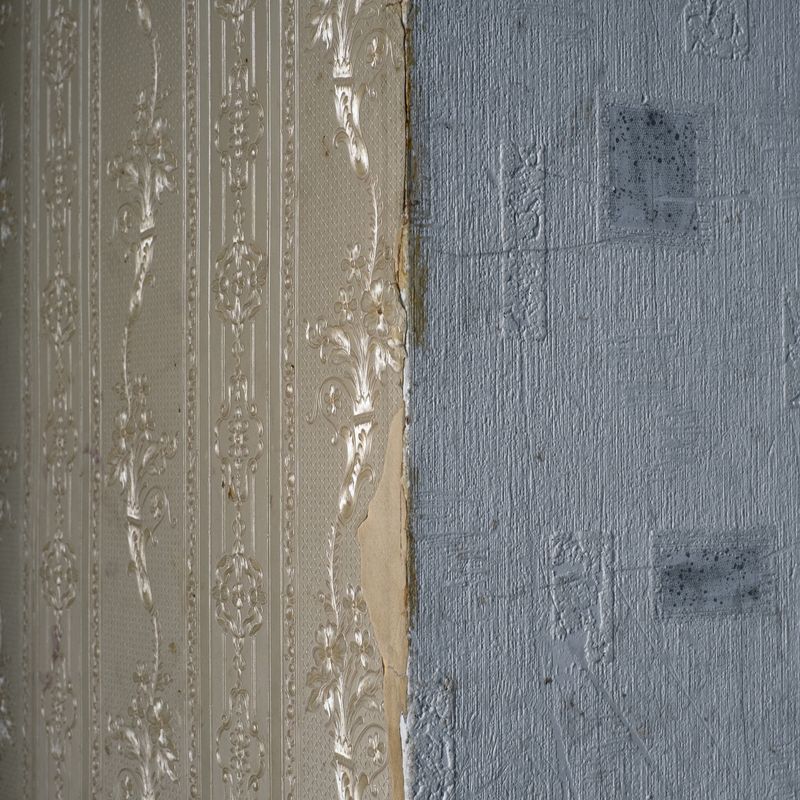 © Maria Quigley - A corner of the wall where two wallpapers meet.