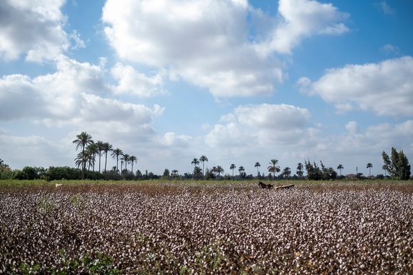 © Amina Kadous - Image from the White gold photography project