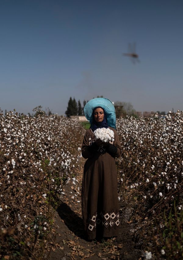 © Amina Kadous - Image from the White gold photography project