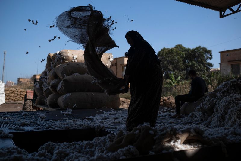 © Amina Kadous - Image from the White gold photography project