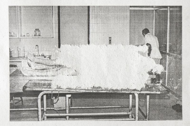 © Roberto Tondopó - Image from the OBAS: A genealogy of silence. photography project