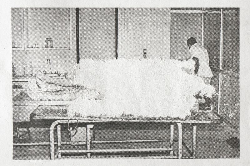 © Roberto Tondopó - Image from the OBAS: A genealogy of silence. photography project