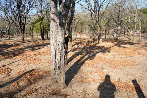© Roberto Tondopó - Image from the OBAS: A genealogy of silence. photography project
