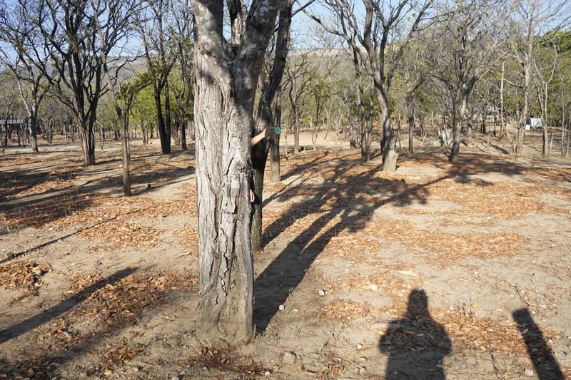 © Roberto Tondopó - Image from the OBAS: A genealogy of silence. photography project