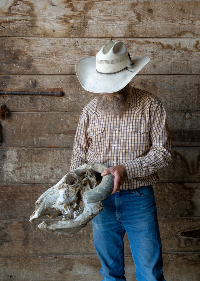 © Ute Behrend - Cowboy with cow skull