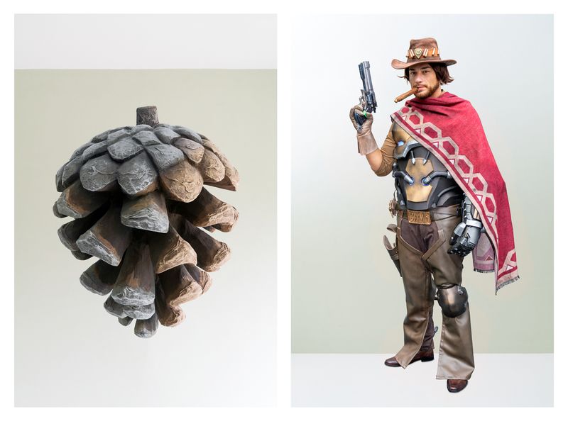 © Ute Behrend - Pine cone & Jesse McCree