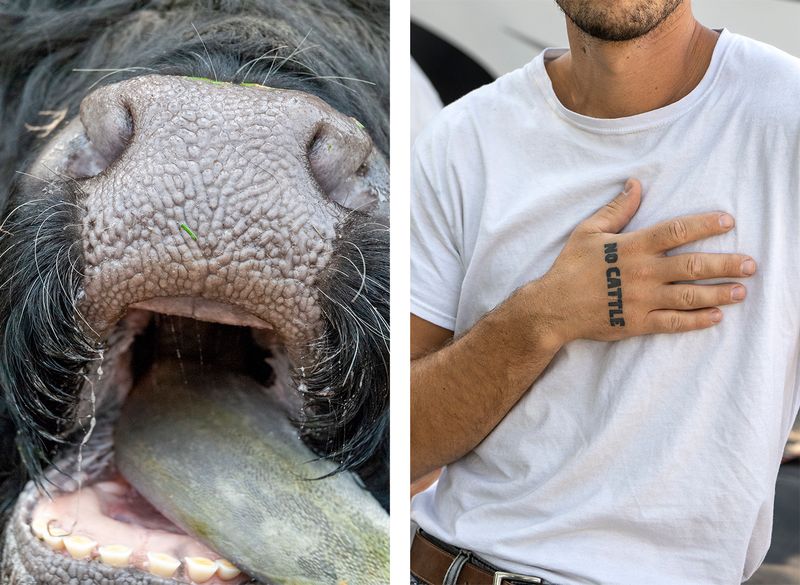 © Ute Behrend - Cow tongue & Joey Berglund