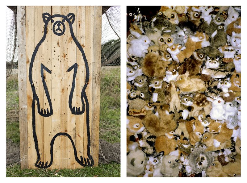 © Ute Behrend - Target & Cuddly toy