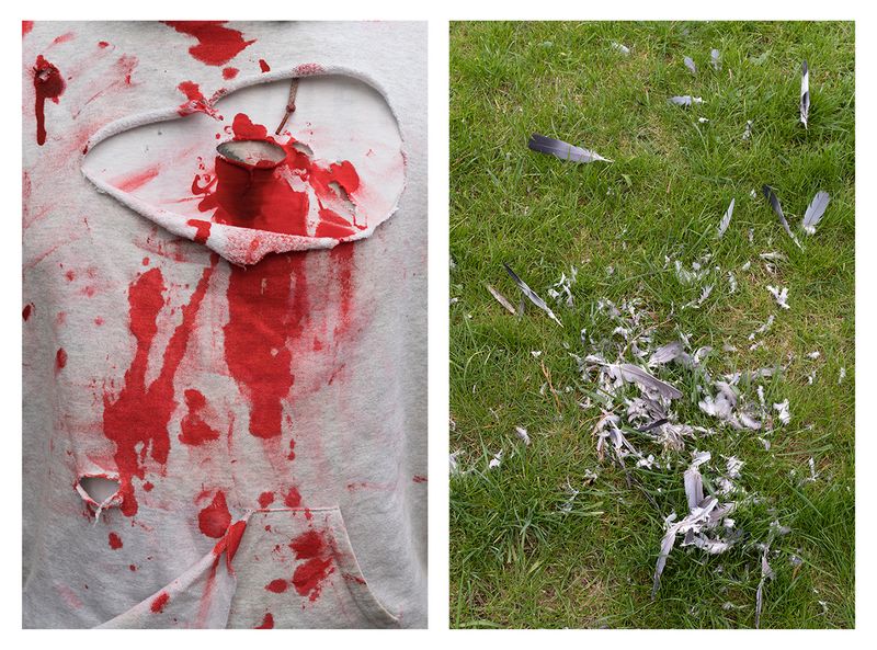 © Ute Behrend - Bloody shirt & Plumes in grass