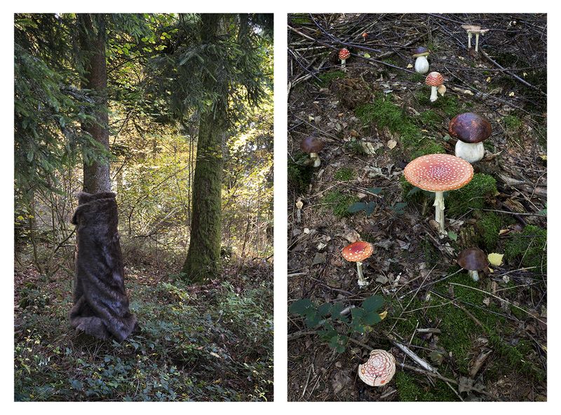 © Ute Behrend - Homage to Meret Oppenheim & poisonous mushrooms