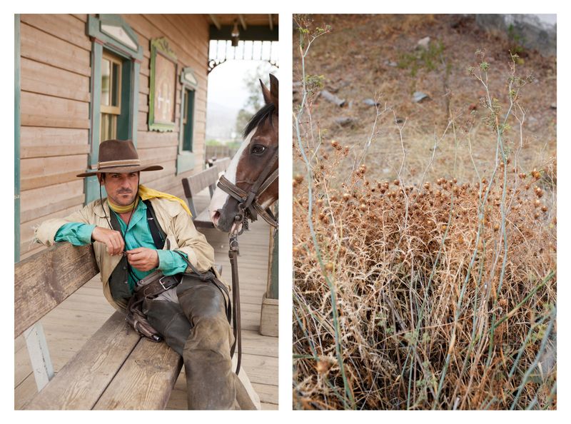 © Ute Behrend - Cowboy with horse & Dry plants