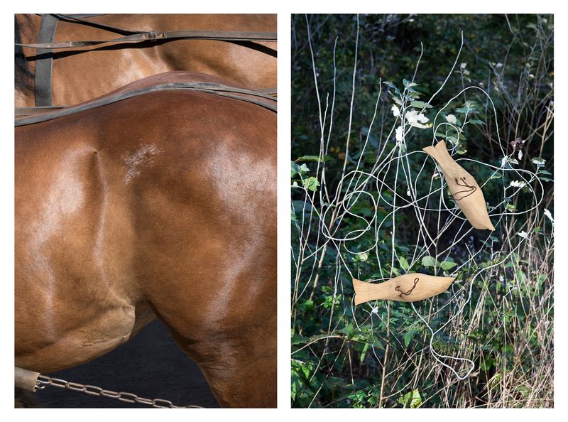 © Ute Behrend - Horse-drawn carriage & Wooden birds