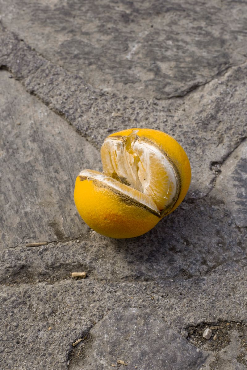 © Justina Leston - Untitled from the series "About myths and artificial creatures"