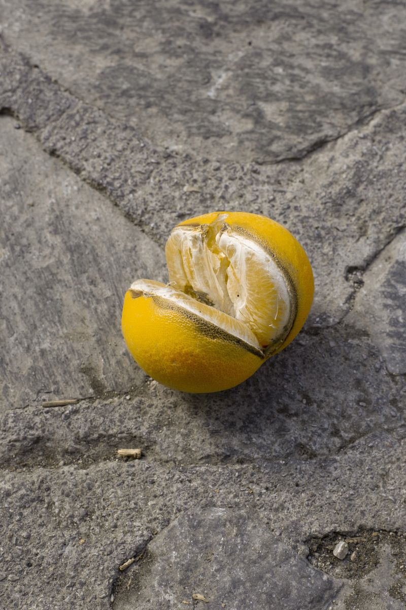 © Justina Leston - Untitled from the series "About myths and artificial creatures"