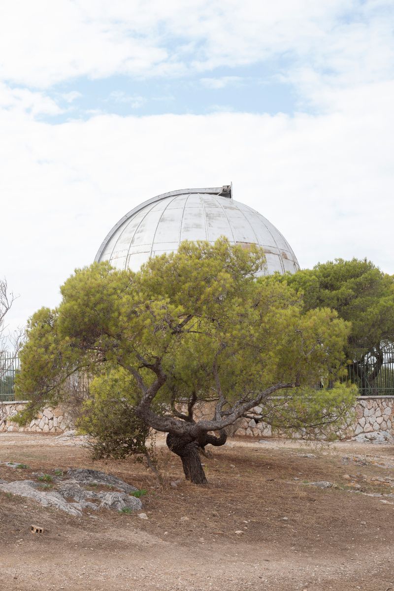 © Justina Leston - Untitled from the series "About myths and artificial creatures"