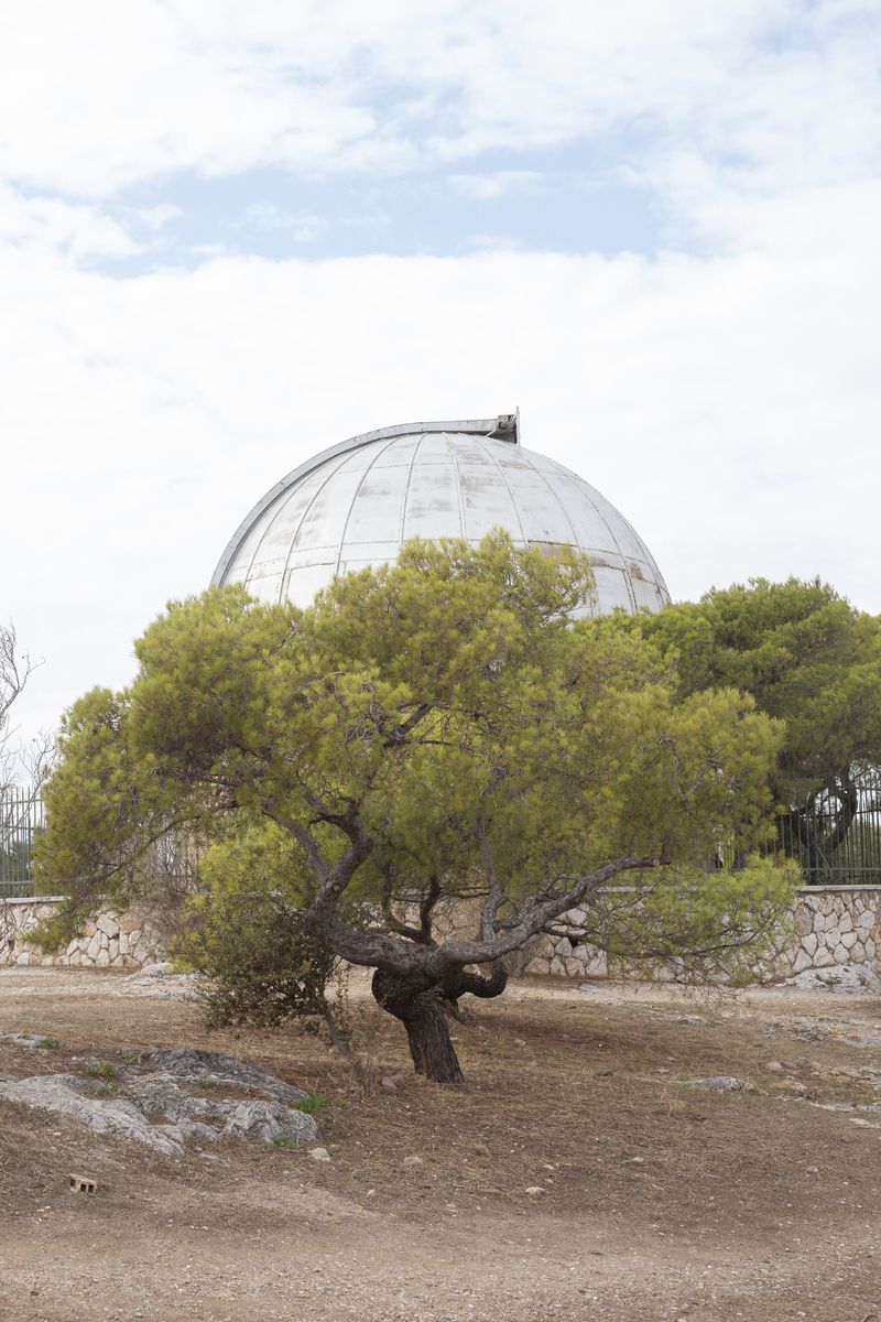 © Justina Leston - Untitled from the series "About myths and artificial creatures"