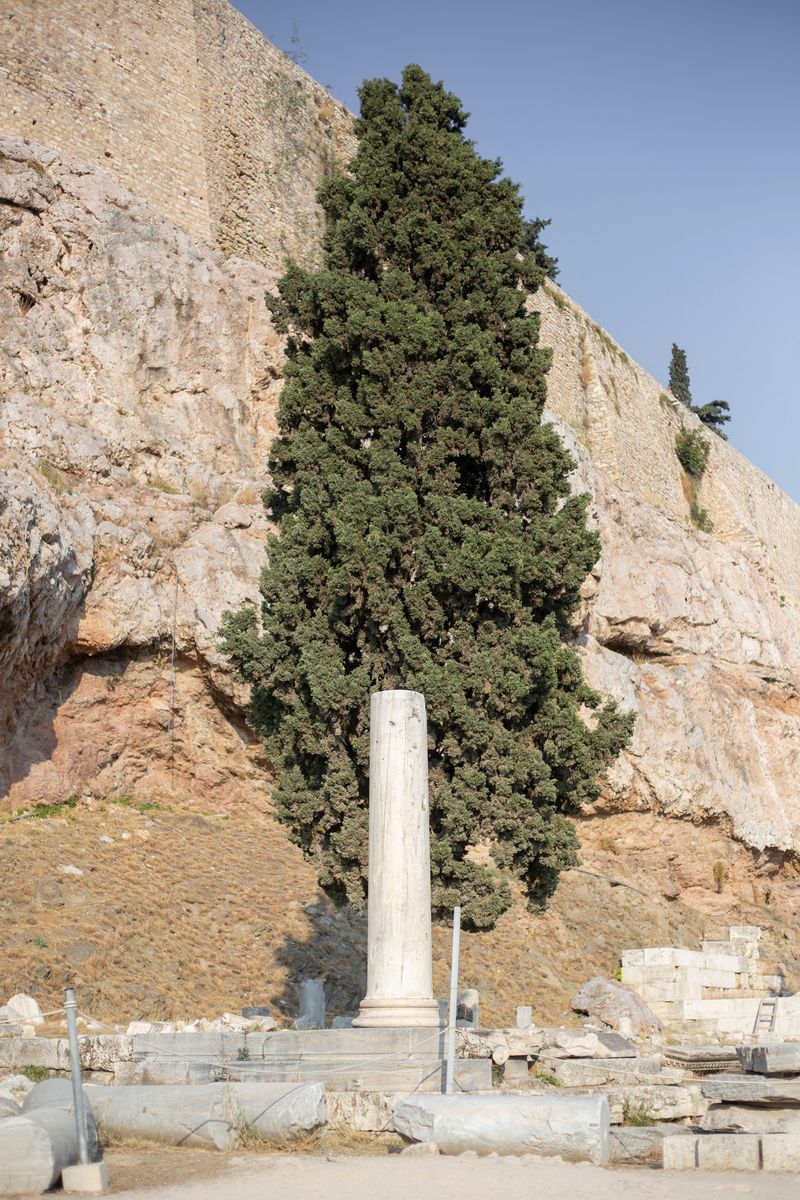 © Justina Leston - Untitled from the series "About myths and artificial creatures"