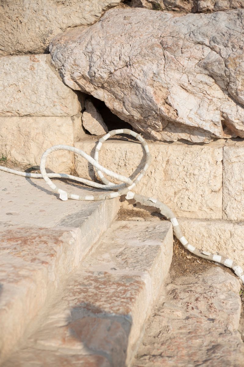 © Justina Leston - Untitled from the series "About myths and artificial creatures"