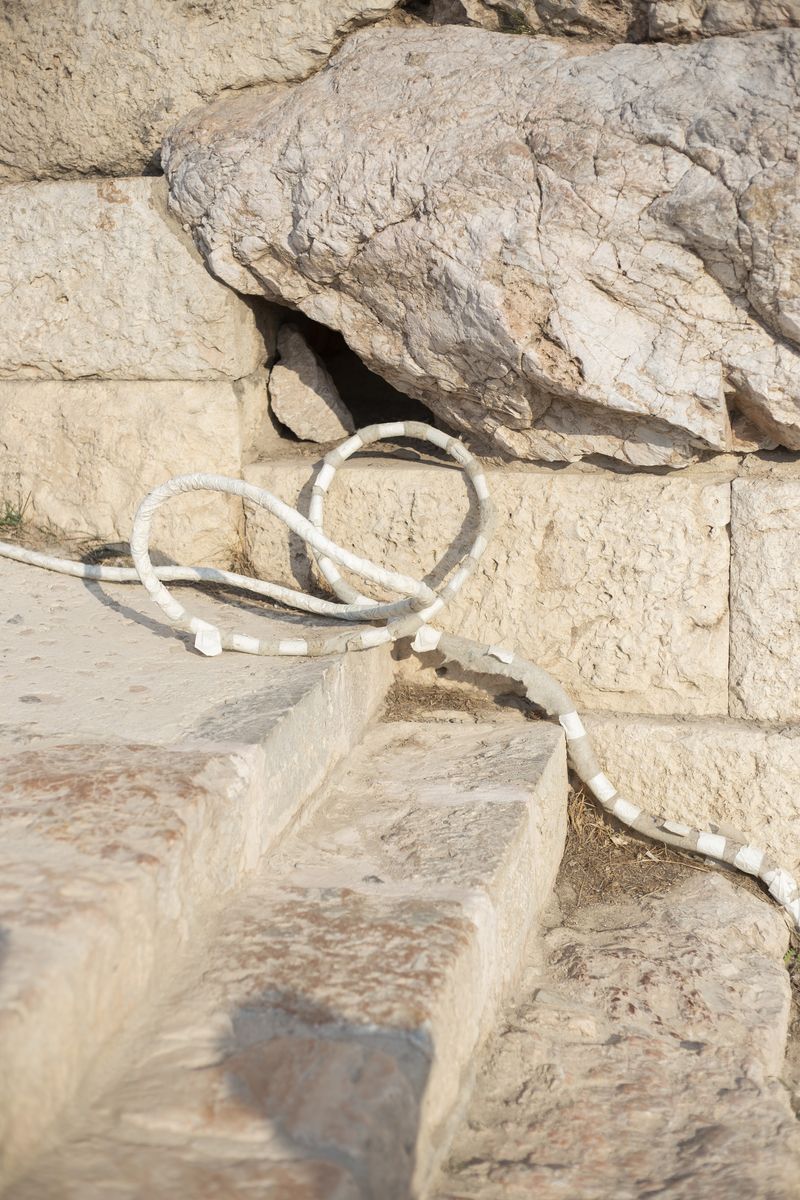 © Justina Leston - Untitled from the series "About myths and artificial creatures"