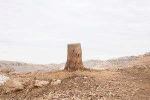 About myths and artificial creatures