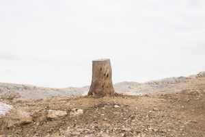 About myths and artificial creatures