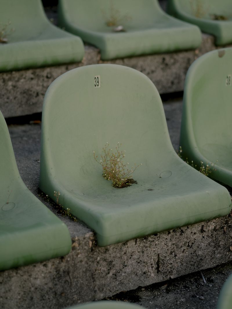 © Adrien Selbert - Image from the The Real Edges photography project