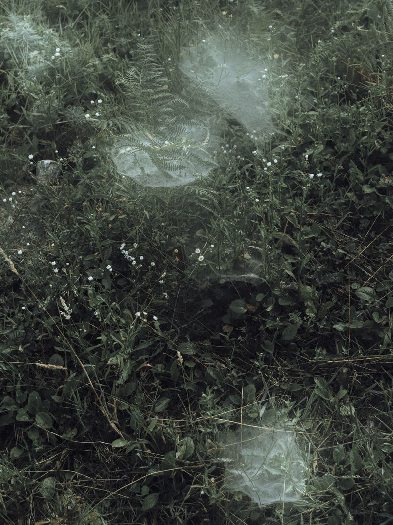 © Adrien Selbert - Image from the The Real Edges photography project