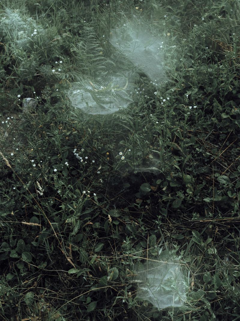 © Adrien Selbert - Image from the The Real Edges photography project