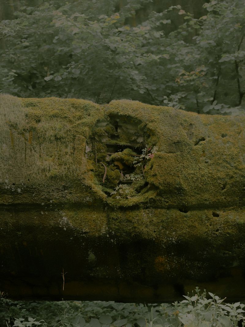 © Adrien Selbert - Image from the The Real Edges photography project