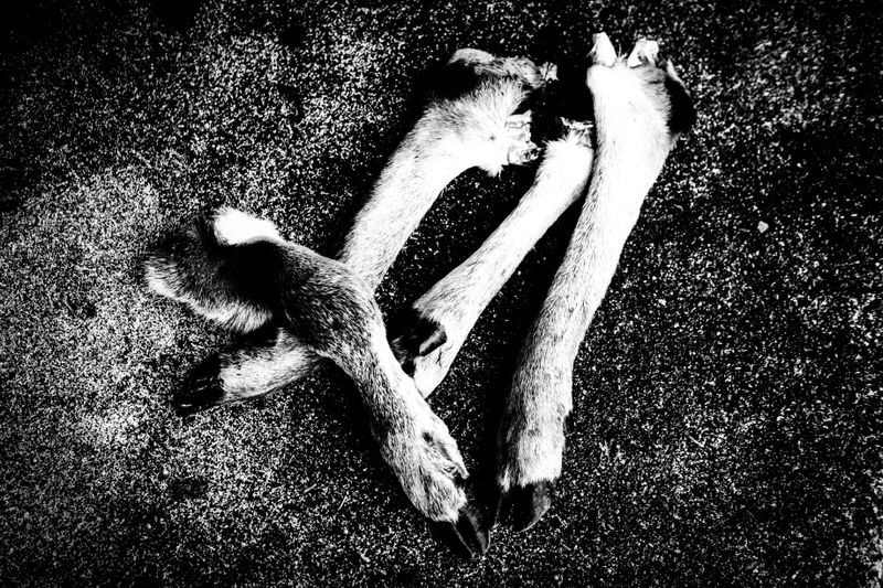 © Jason Own - Where the Living Ends Gently by Jason Own