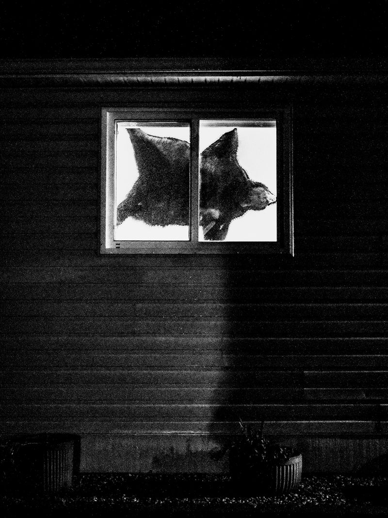 © Jason Own - Where the Living Ends Gently by Jason Own