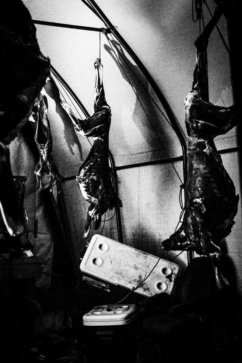 © Jason Own - Where the Living Ends Gently by Jason Own
