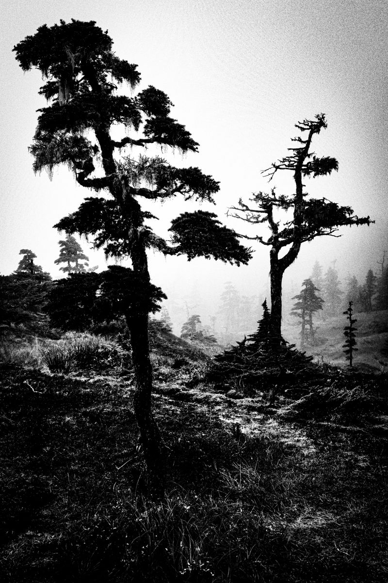 © Jason Own - Where the Living Ends Gently by Jason Own