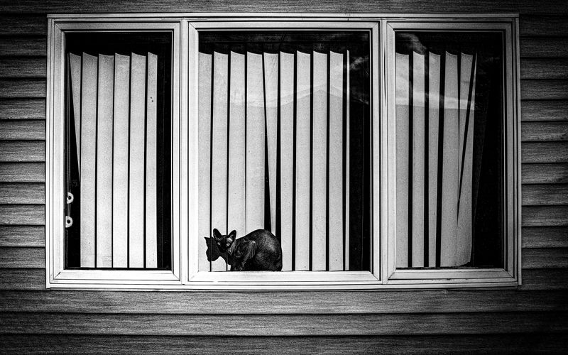 © Jason Own - Where the Living Ends Gently by Jason Own