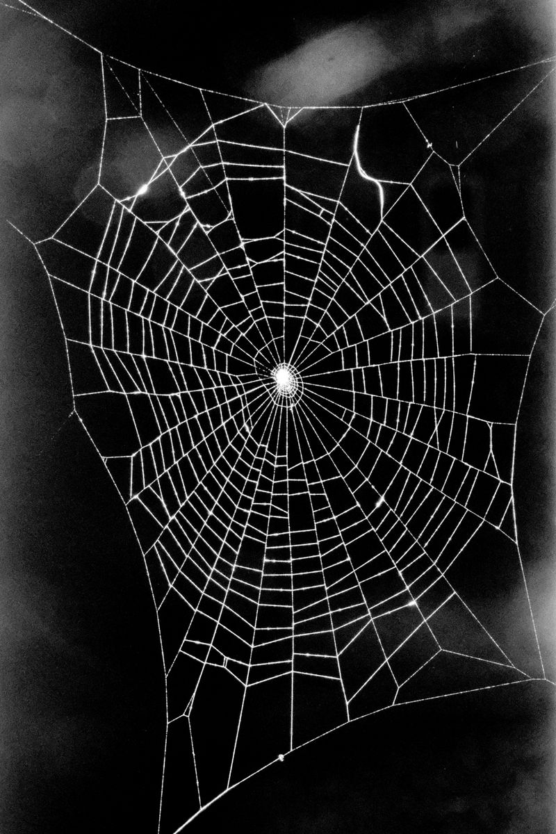 © Jason Own - Where the Living Ends Gently by Jason Own
