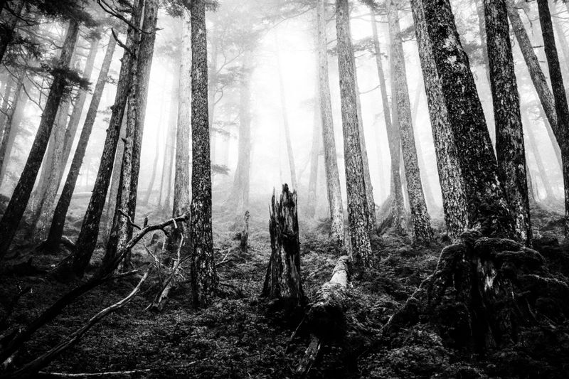 © Jason Own - Where the Living Ends Gently by Jason Own