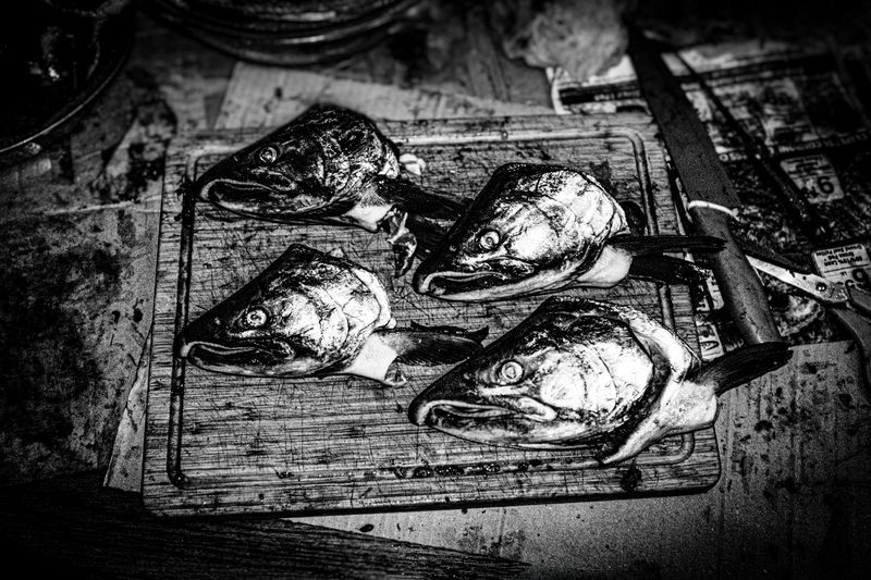 © Jason Own - Where the Living Ends Gently by Jason Own