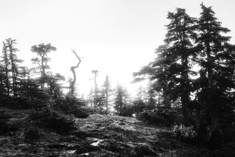 © Jason Own - Where the Living Ends Gently by Jason Own