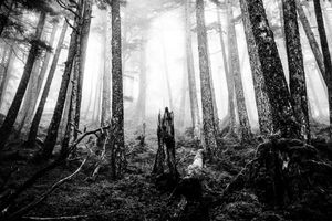 Where the Living Ends Gently