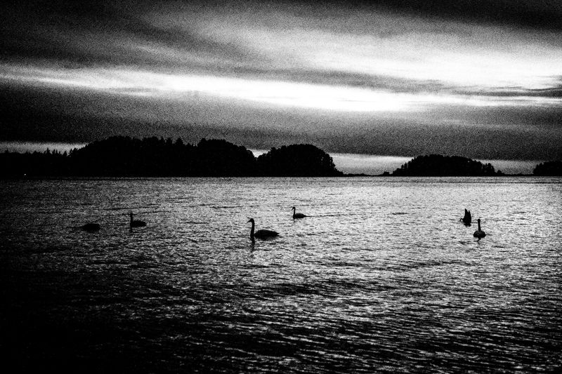 © Jason Own - Where the Living Ends Gently by Jason Own